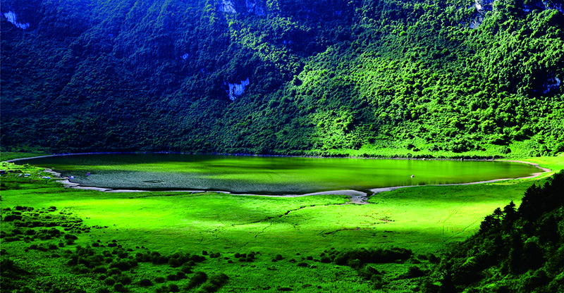 魚池風(fēng)景圖