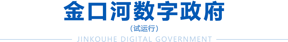 金口河數(shù)字政府
